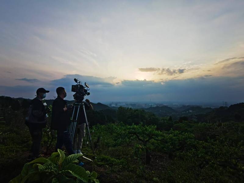 聚焦临县产品宣传视频拍摄公司，用专业实力铸就品牌传播传奇