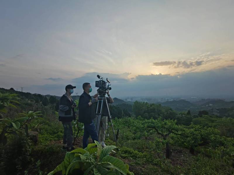 创意破圈！临县电商产品宣传视频用故事化叙事引爆流量