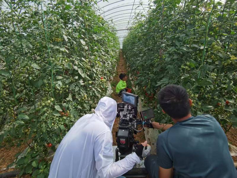 临县产品宣传视频拍摄公司进阶指南，助力品牌抢占传播高地